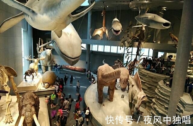 小说#强推12本年度热门网络小说,精彩好看,符合主流书虫口味