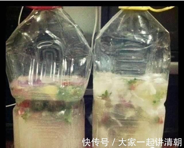 发酵|盆土铁如锤浇这“2种水”,一浇就疏松,5年不用施肥换盆了