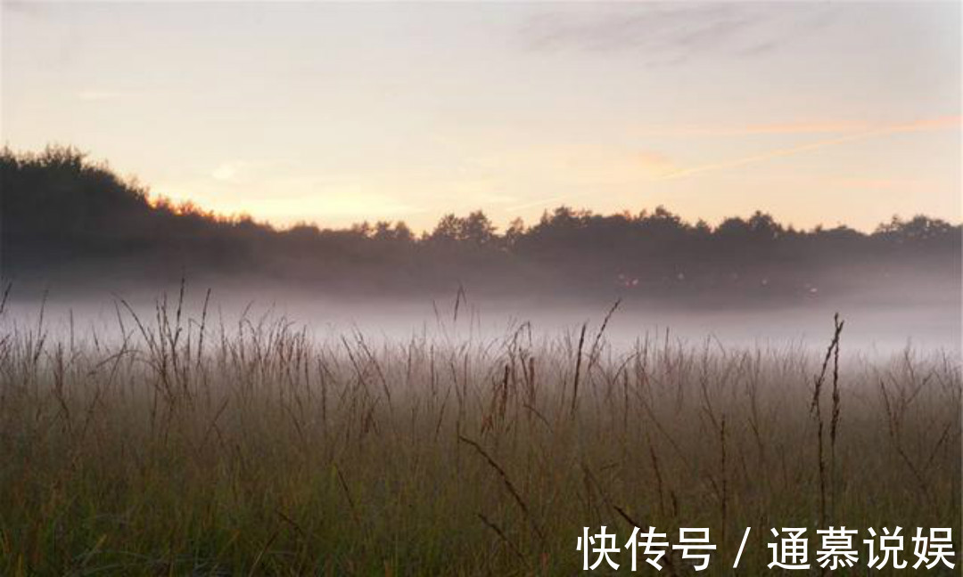 秋夜独坐&王维晚年写下的这首禅诗，通篇意境高远，同时每一句都有大智慧！