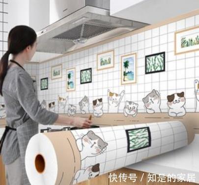 拜访|去邻居家拜访,打开厨房门就被迷住,布置得真棒,整洁美观还不贵