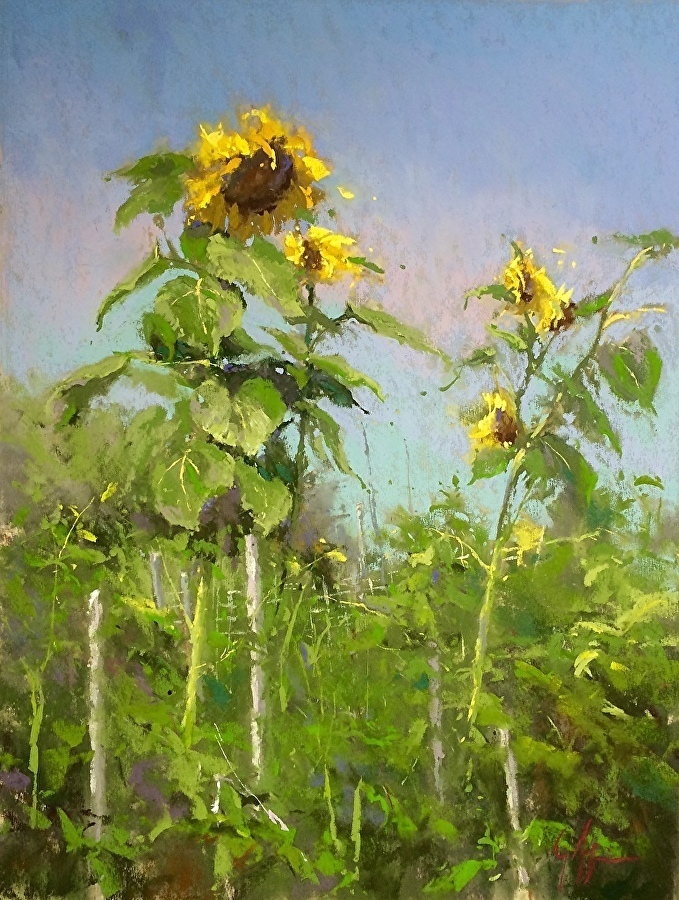 阿奎尔$美国艺术家阿奎尔柔和的风景油画,画里充满了阳光温馨美好(二)