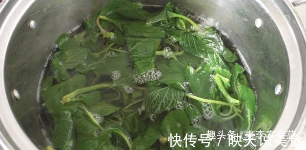 含钙量是菠菜的三倍，做饺子馅特别香，一口一个停不下来