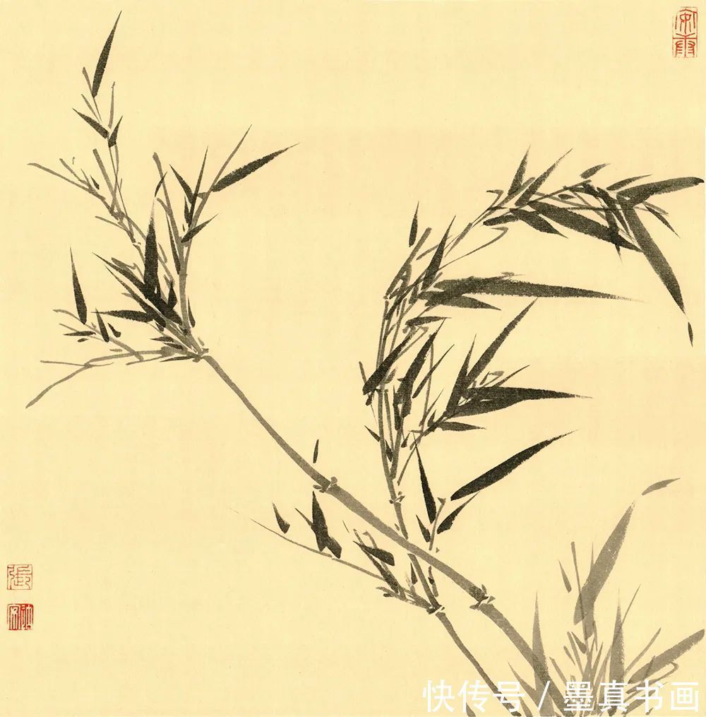 墨竹谱|「张楠」|丹青追梦 水墨本色-中国当代书画名家个人云展览