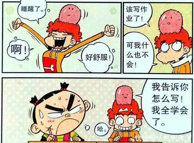 衰漫画：是什么让衰衰变成了“学霸”？是衰衰头顶的包