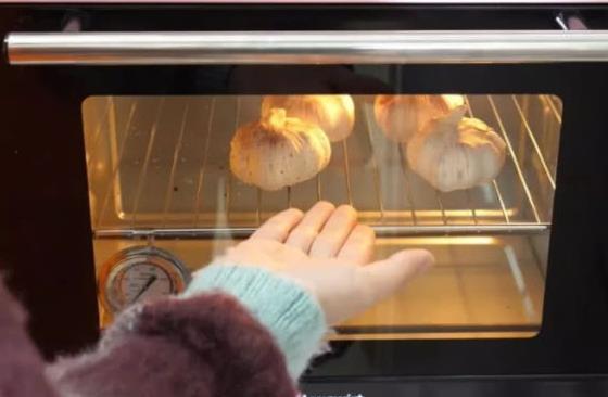 大蒜怎么保存不发芽?有经验的人这样做,大蒜一年不发芽,实用