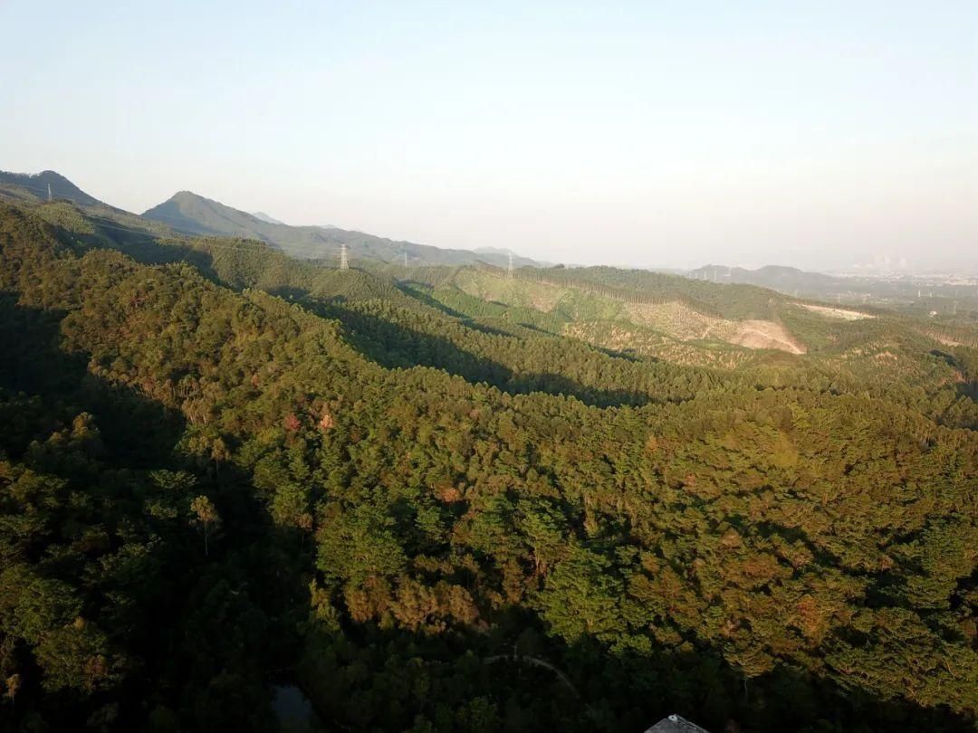 绿动|守护绿水青山！冬日畅游阿纪山，感受“绿动”麻陂