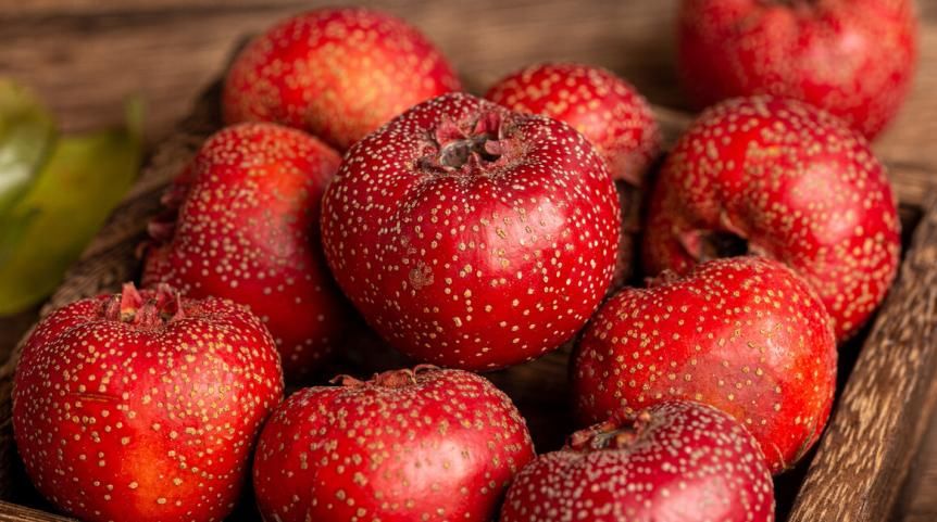 烟酒|胃癌的“祸根”不仅是烟酒,3种常见水果,也应尽早拉进“黑名单”