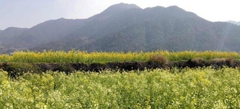 中兴四大$杨万里被严重低估的一首诗,通篇无比的忧愁,读来当真是肝肠寸断