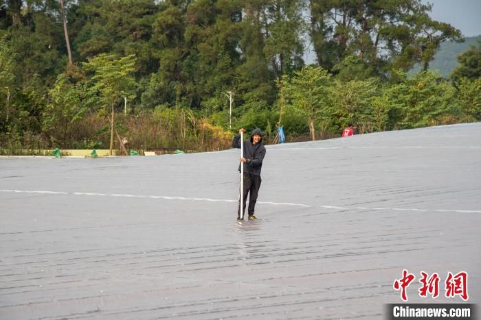 越冬池|航拍广西建设中的澳洲淡水龙虾基地 年产值预计达100万元