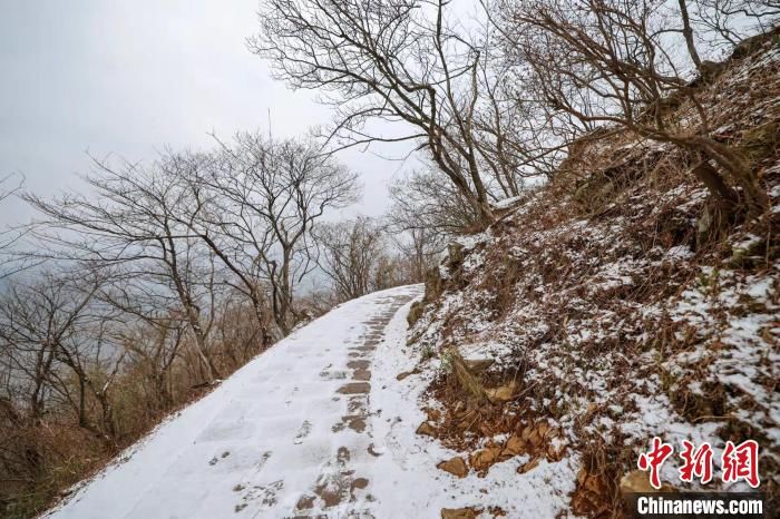 初雪|2022年，在浙江莫干山邂逅一场初雪