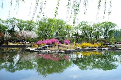 二月|北京最大的樱花园，面积约25万平米，一到3、4月游客爆满