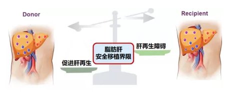 国家自然科学基金委|清华长庚获批2021年国家自然科学基金委重大研究计划重点项目支持