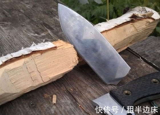 这种树生长在中国，被喻为世界上最坚硬的树，比金属还硬