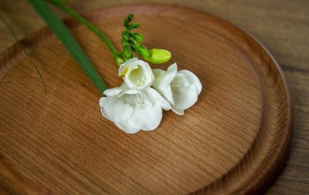 天涯一角&繁华三千,仅倾情一朵,缘之所寄,且一往而深