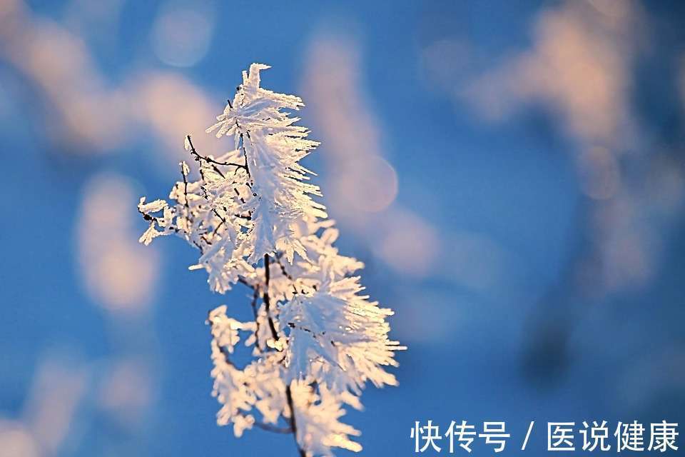 中医|冬至不养生,开春找医生?常吃这7样,调整阴阳平衡,增强免疫力