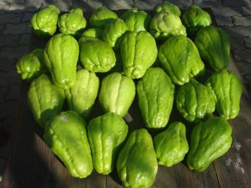 不育症|此菜是个宝,看见再贵也要买,不管男女都有好处,早知早受益