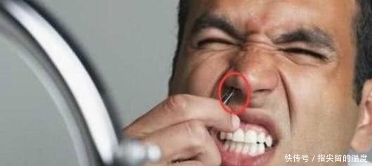 中医基础理论|中年人鼻毛变白,说明什么?