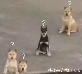 |买家秀和卖家秀的搞笑对比:这衣服应该卖不出去了吧