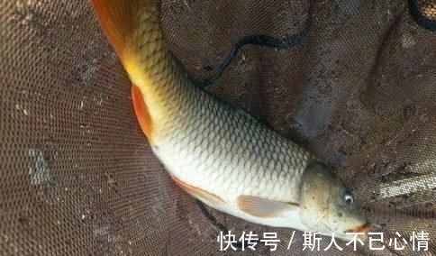 水流|在江河钓鱼必学的3个技巧
