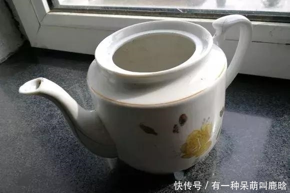 邻居捡破烂养花，全家都反对，栽上花后都笑了！