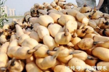 养颜美容|莲藕和一宝搭配吃,养颜美容,好吃还营养,现在知道还不算晚