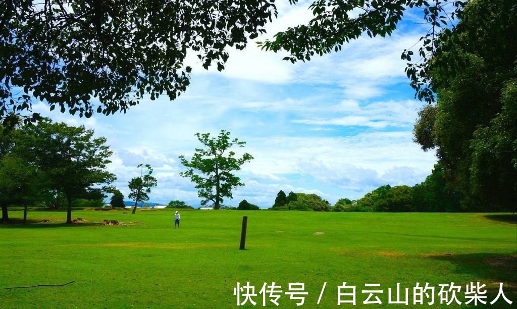 |3首滑稽幽默的古诗,语言通俗直白,大俗之中见大雅