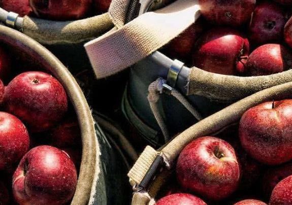 食物|血液粘稠,不要慌,4种食物经常吃,防血栓