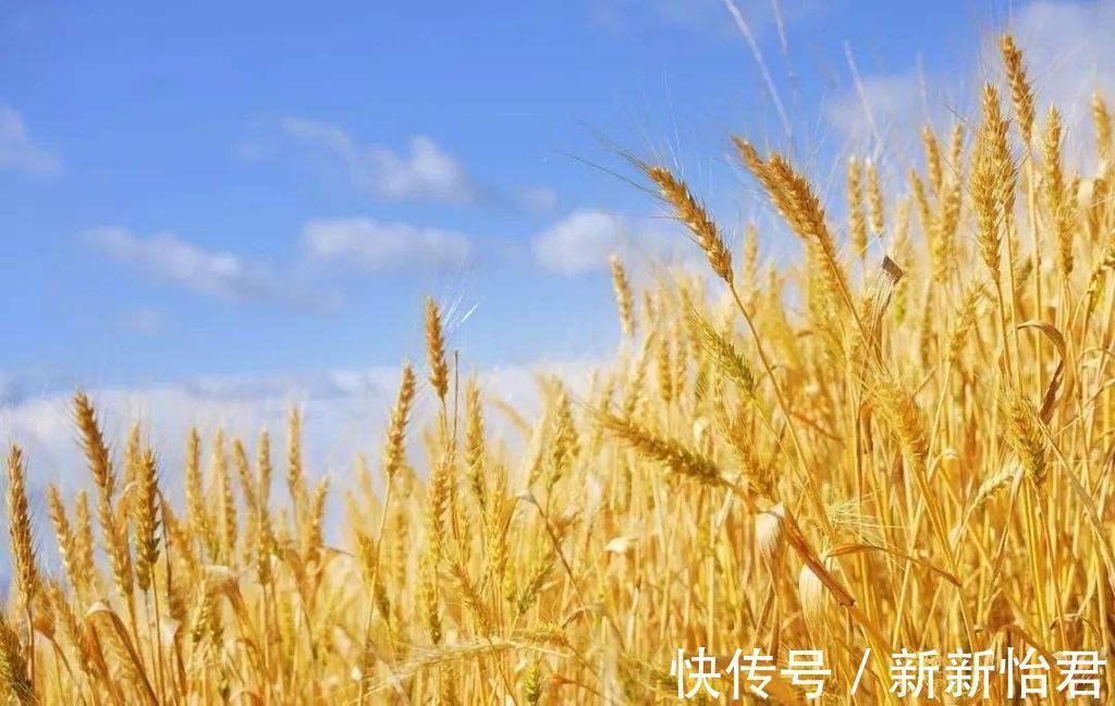 招贤榜@官员出上联:响水池中池水响,路过农夫对出下联,堪称经典!