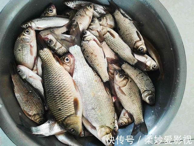 这类垂钓行为将被严厉打击,钓友要远离