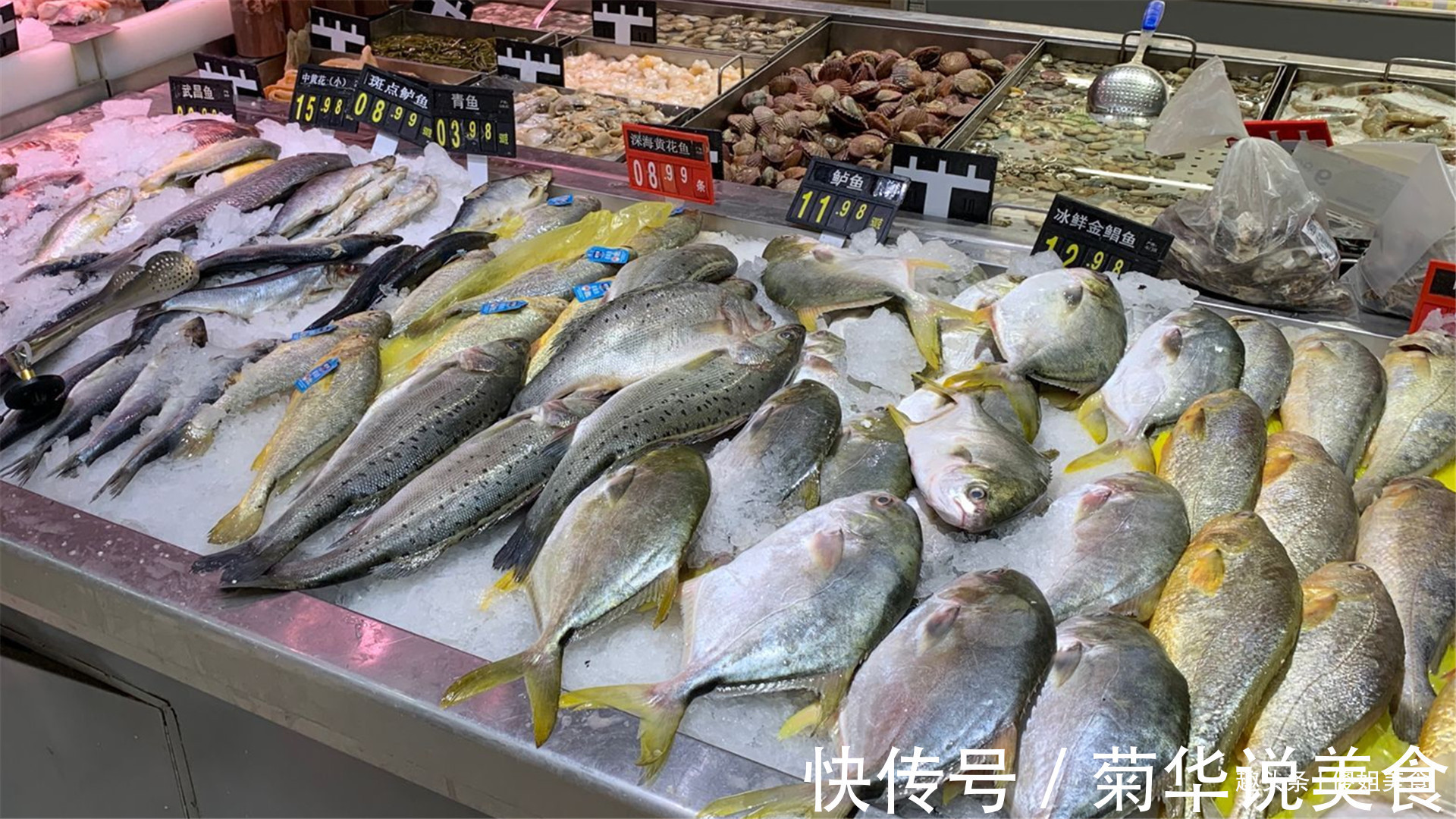 入秋后,碰到此鱼我必买,肉厚刺少营养极高,炖一锅鲜香又滋补