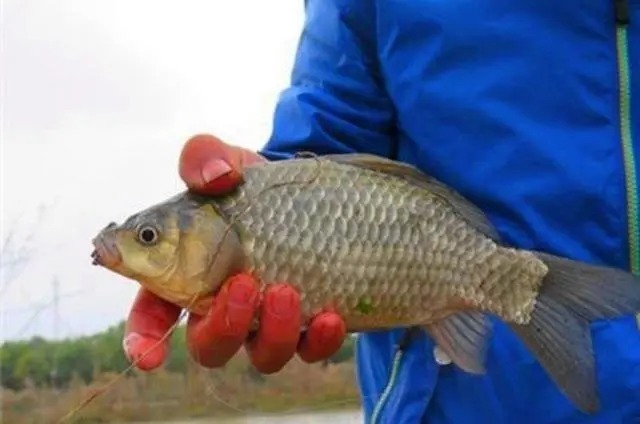 冷天钓鱼时,需要用到的6个调整技能,助你钓大鱼