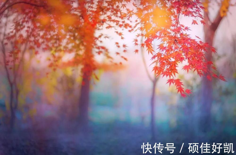 杜牧#杜牧最美的一首诗,将秋天写得特妙,千古以来竞相传唱