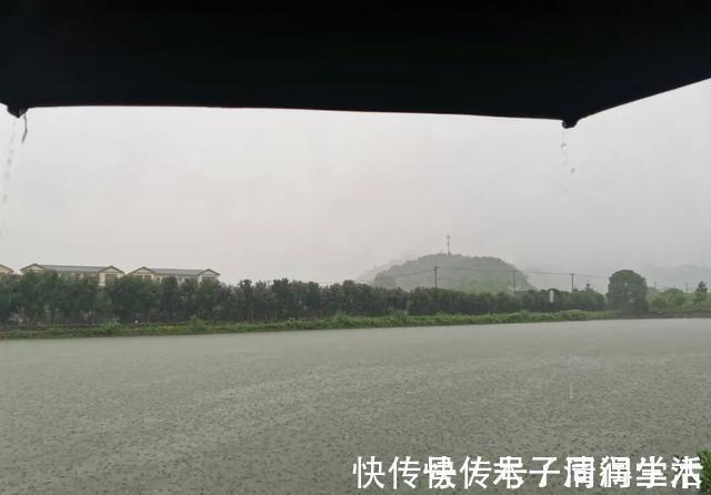 野钓|野钓走水老是“阴漂”怎么办？老钓友告诉你哪种的浮漂最好用
