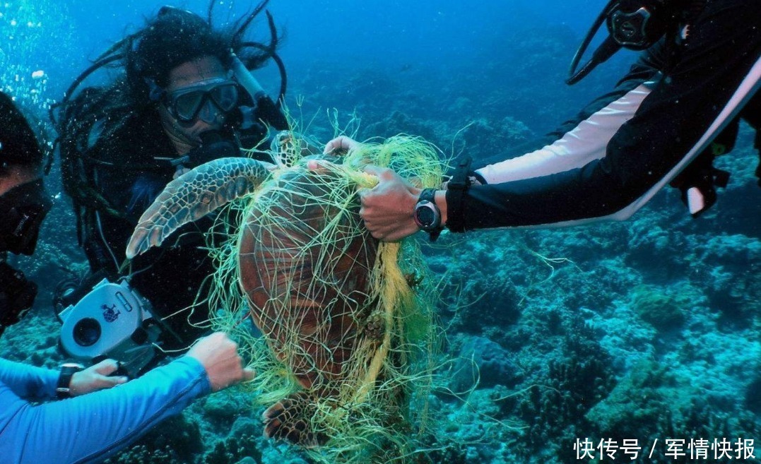 探测器下潜10926米，眼前一幕引人深思，专家人类必须警惕