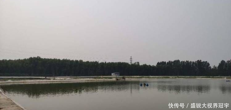 黑坑|臭底黑坑怎么钓？一场黑坑被老板盘得明明白白，可惜发现得晚了点