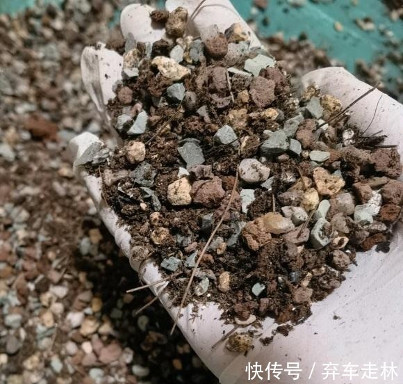 1升营养土等于多少斤 1升营养土等于多少斤