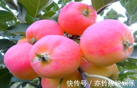 月经|女人来月经时，多吃的食物，排出毒素，补血益气，保护子宫