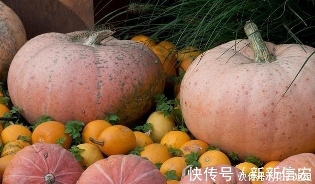 夏天，多吃此菜，钙是鸡蛋6倍，3块钱一斤，包成饺子超级好吃！