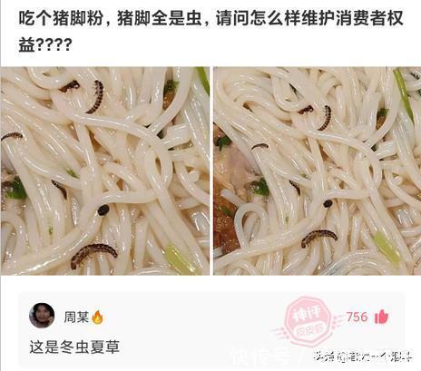 |当代网友的搞笑高智商神回复 第328篇