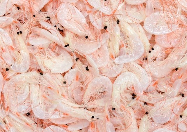 买虾皮时，选白色的还是浅红色的？渔民告诉你答案，买错了多花钱