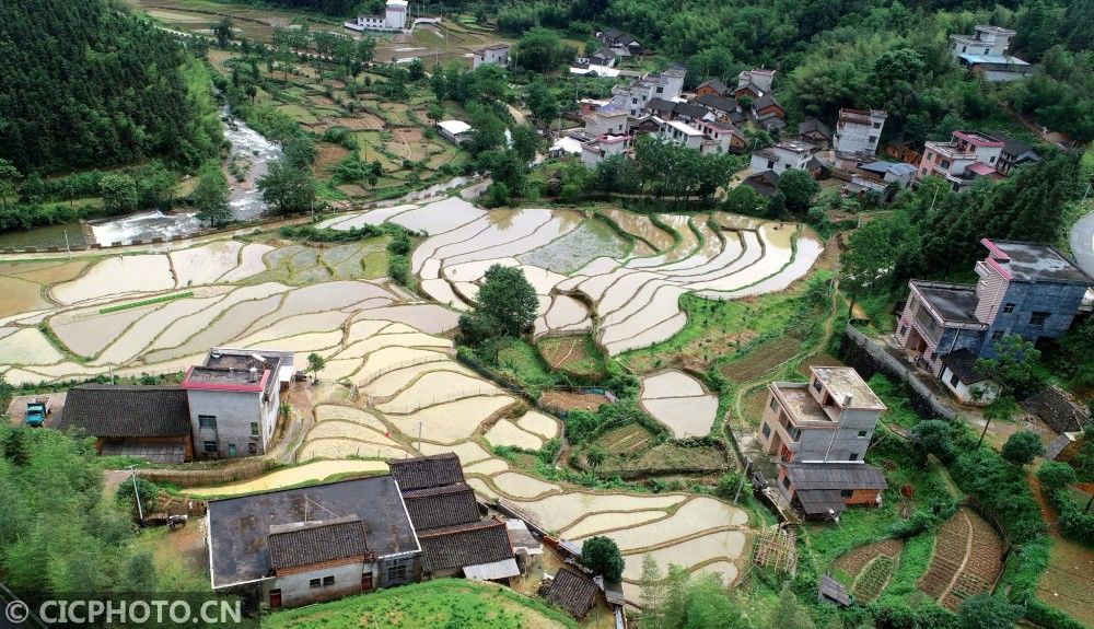 何红福|湖南：当一回飞鸟 品碧水青山