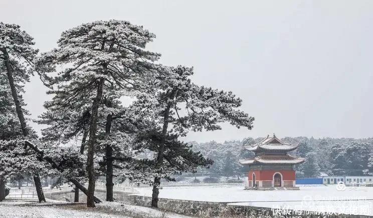 冬日的清西陵等你来看雪