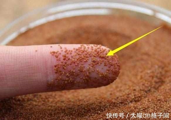 见效|蛋清里面加一物，快速收缩毛孔，清除黑头，3天见效！