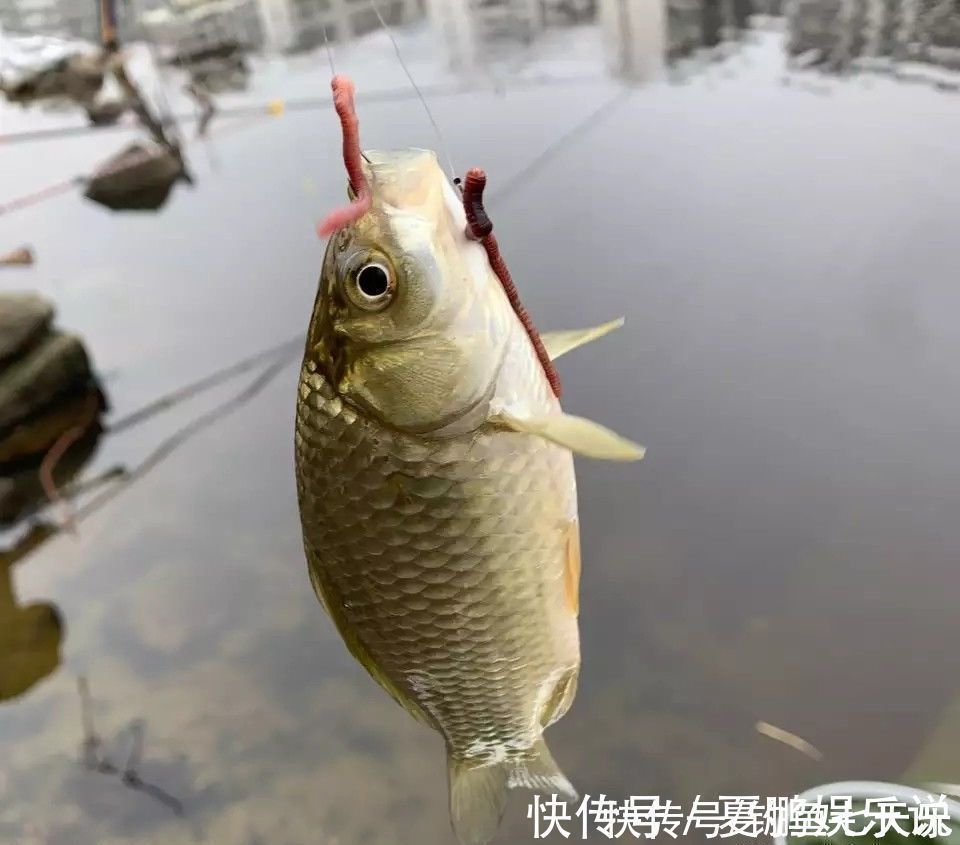 钓位|冬钓如何“不走空”,选对位置是关键,这些都是好钓位