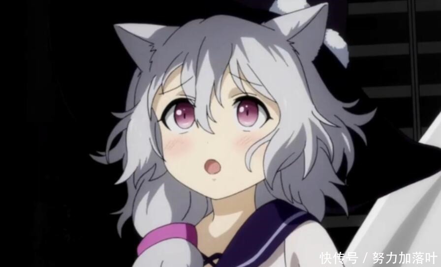 领养|二次元中具有猫耳属性的美少女(猫娘),你想要领养哪一只呢