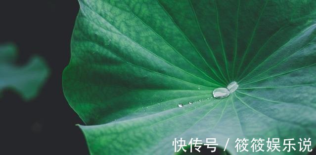 西风!李璟最美的一首词,仅开头两句便已惊艳世人,连王国维都极为推崇