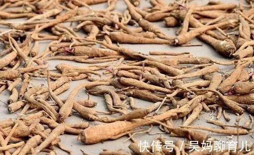 甘草|四君子湯，補氣養血第一名方！灸透身體這4穴，勝喝四君子湯！