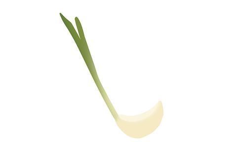 黄豆|食物发芽后就不能吃了?提醒:3种食物发芽,不仅没毒营养还丰富