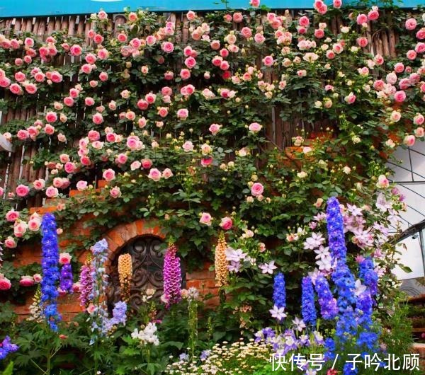 养花有3个“讲究”，执行到位，家里院子和露台“美如仙境”！