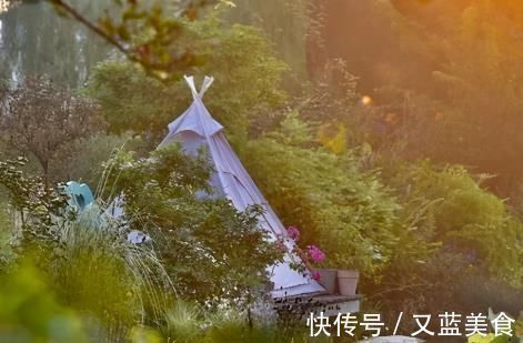 老房|退休夫妻花4年改造自家老房,建3000㎡大花园,住在人间仙境里